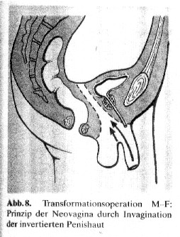 Abbildung 8